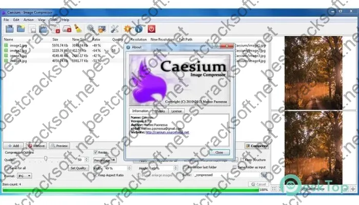 Caesium Image Compressor Crack