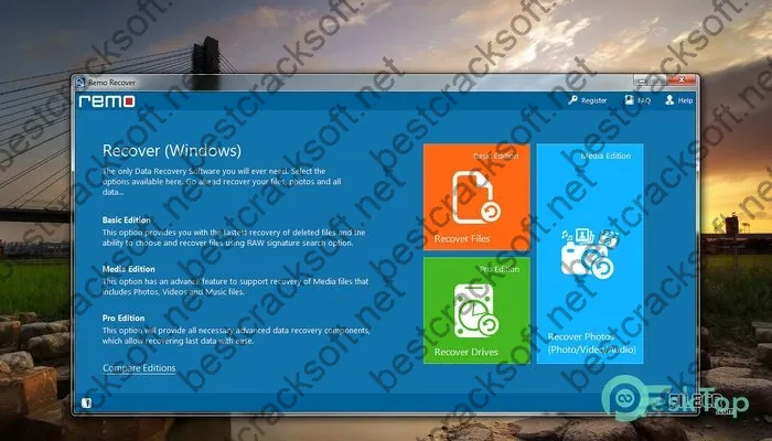 Remo Recover Windows Crack 6.0.0.233 Free Download