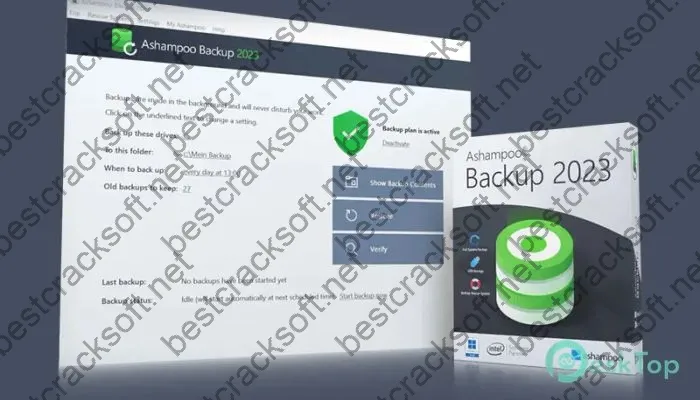 Ashampoo Backup 2023 Crack v17.03 Free Download